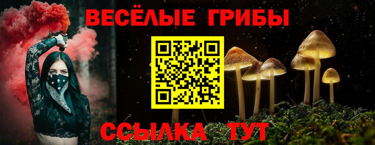 Галлюциногенные грибы MAGIC MUSHROOMS  Вход с VPN  Острогожск 